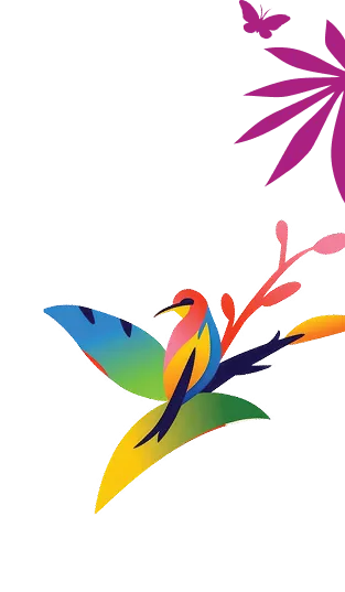Xanhislandbysungroup