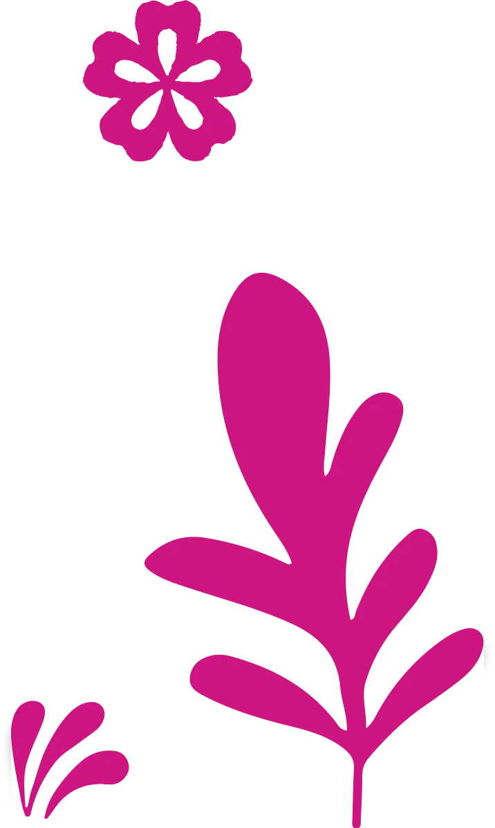 Xanhislandbysungroup