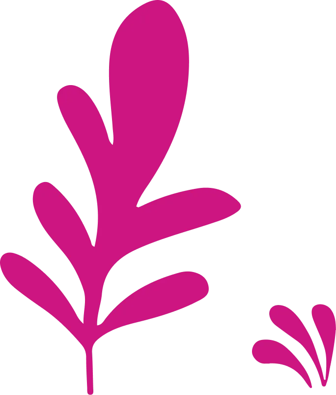 Xanhislandbysungroup