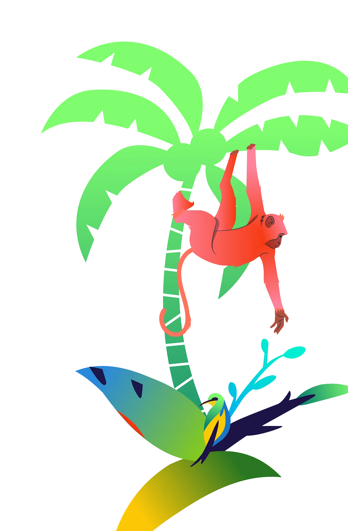 Xanhislandbysungroup