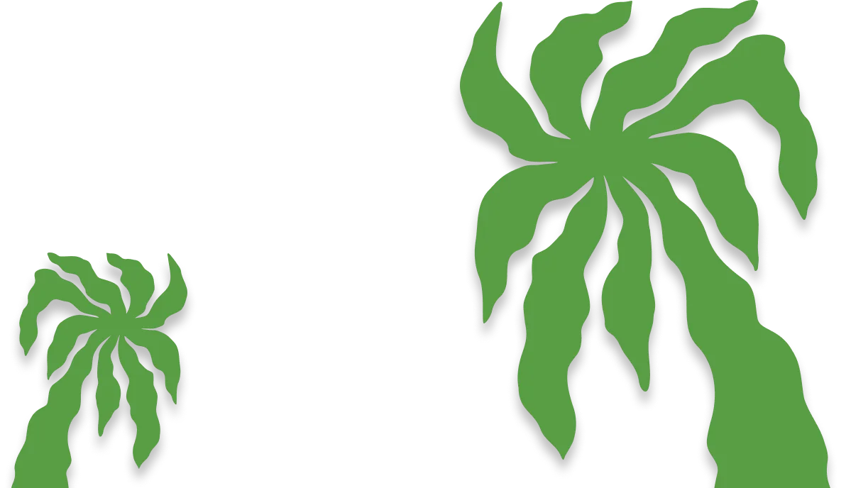Xanhislandbysungroup