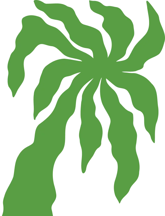 Xanhislandbysungroup