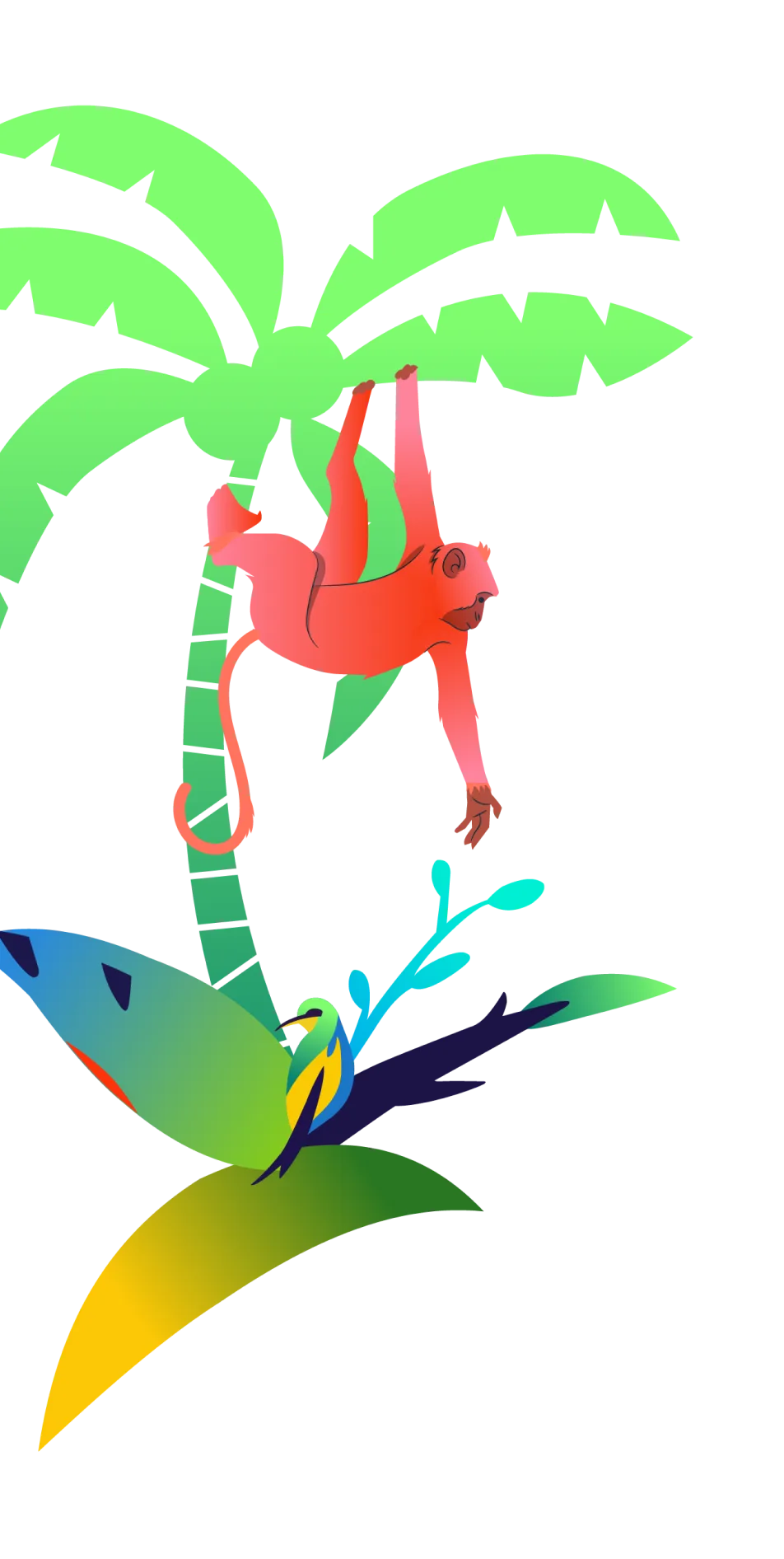 Xanhislandbysungroup