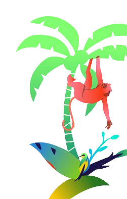 Xanhislandbysungroup