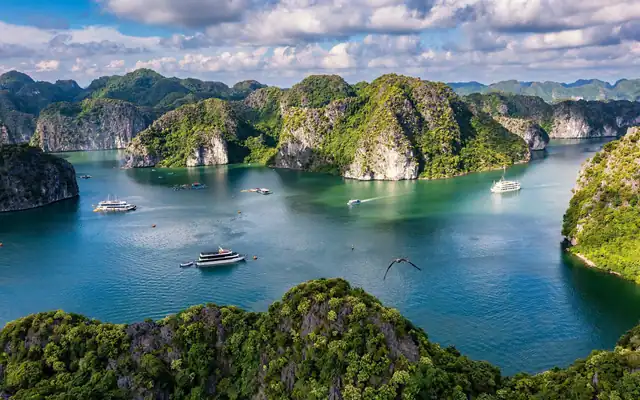 Mọi con đường đều… dẫn tới Cát Bà